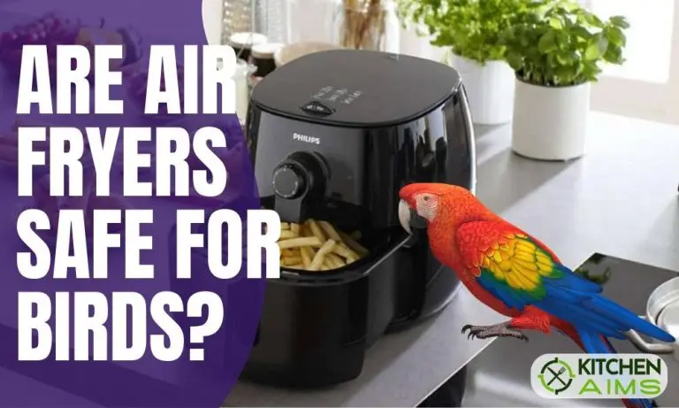 Are Air Fryers Safe for Birds
