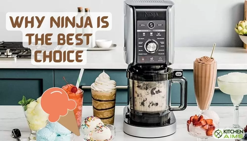 How To Make Ice Cream With A Ninja Blender A Very Easy Guide 