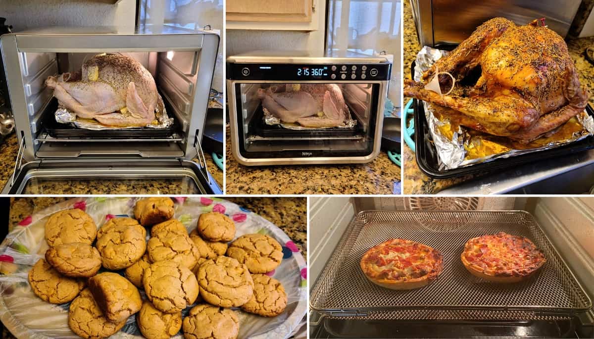 perfectly cooking large turkey, cookies and pizza in my Ninja DT201